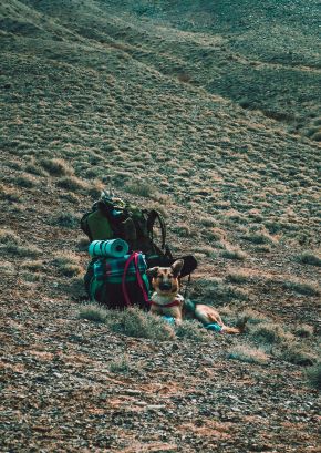 Ulitimate Guide to Pet Friendly Hiking Spots in Kenya