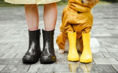 Tips on staying dry and stylish on a rainy day walk