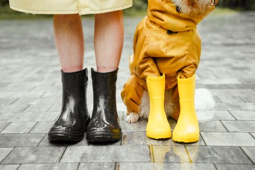 Tips on staying dry and stylish on a rainy day walk